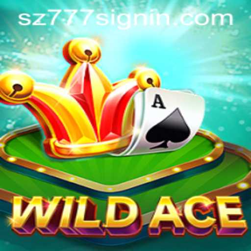 Explore the Thrilling World of WildAce: A New Era in Gaming